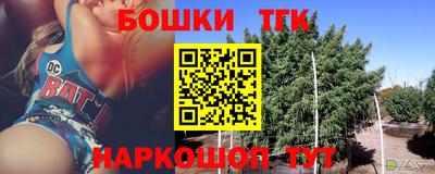 гашик Кулебаки