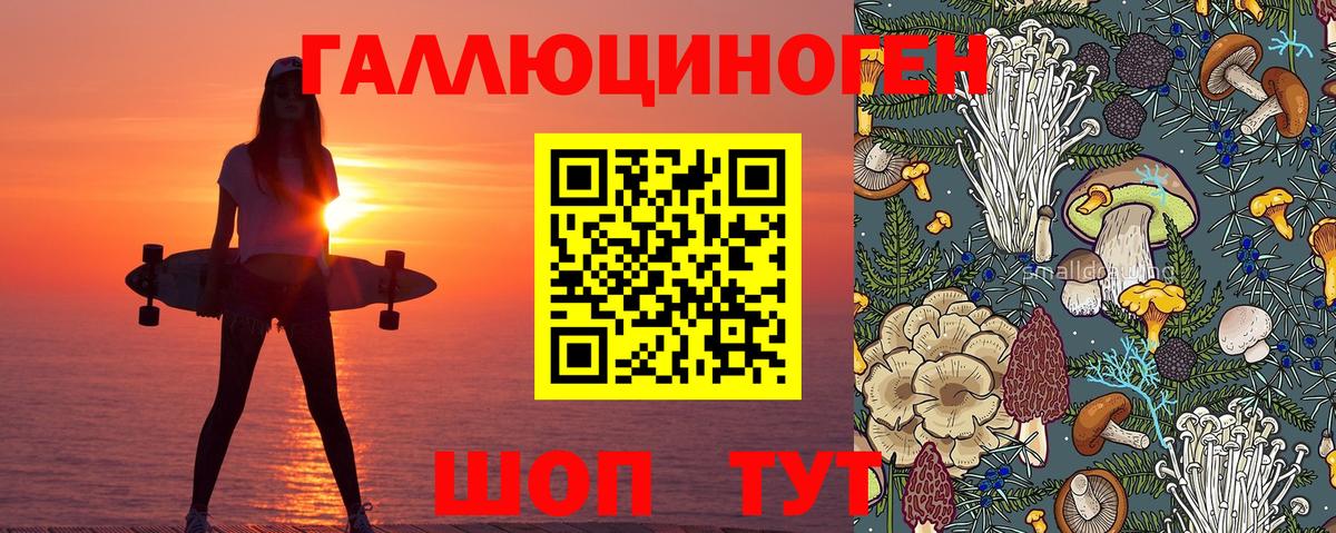 Якутск  Псилоцибиновые грибы Psilocybine cubensis  Вход с VPN 