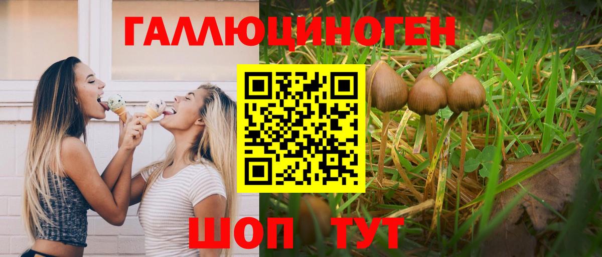 Галлюциногенные грибы прущие грибы Якутск